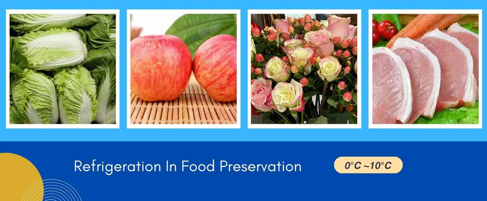 Refrigeration in food preservation importance-Glen Refrigeration